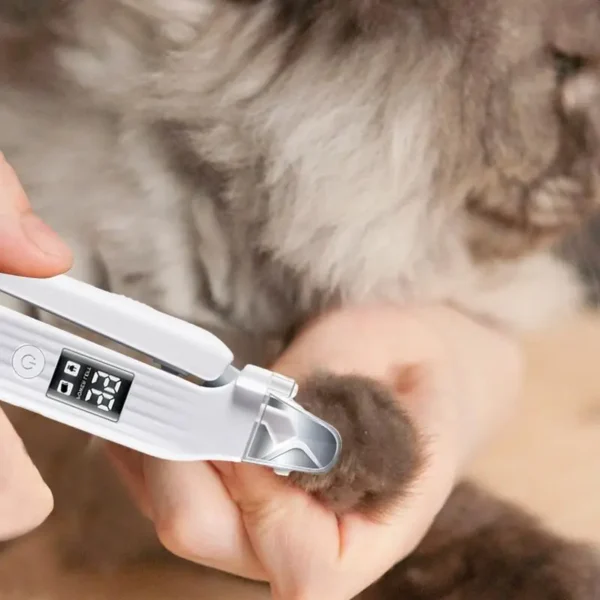 Dog Nail Grinder Electric Rechargeable Dog Nail Trimmer With LED Light Ergonomic Pet Paws Grooming Tool Quiet File Toenail