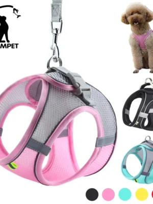 Dog Harness Leash Set for Small Dogs Adjustable Puppy Cat Harness Vest French Bulldog Chihuahua Pug Outdoor Walking Lead Leash